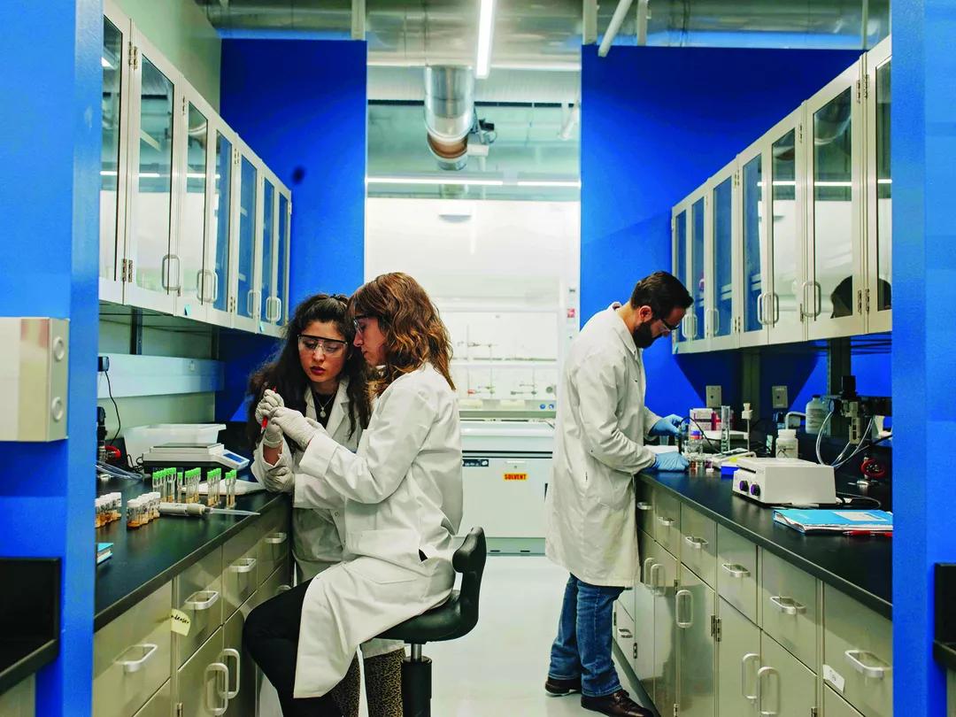 Image for Lakehead University