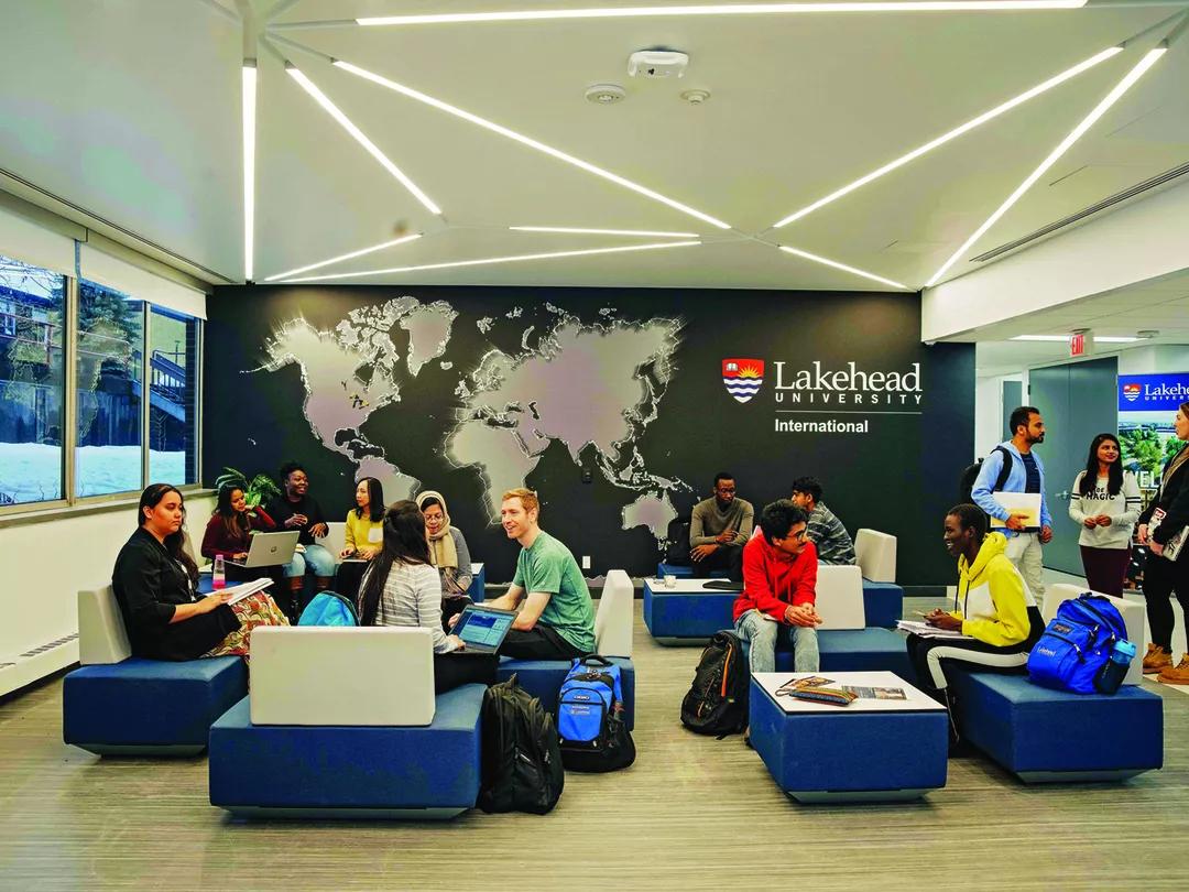 Image for Lakehead University