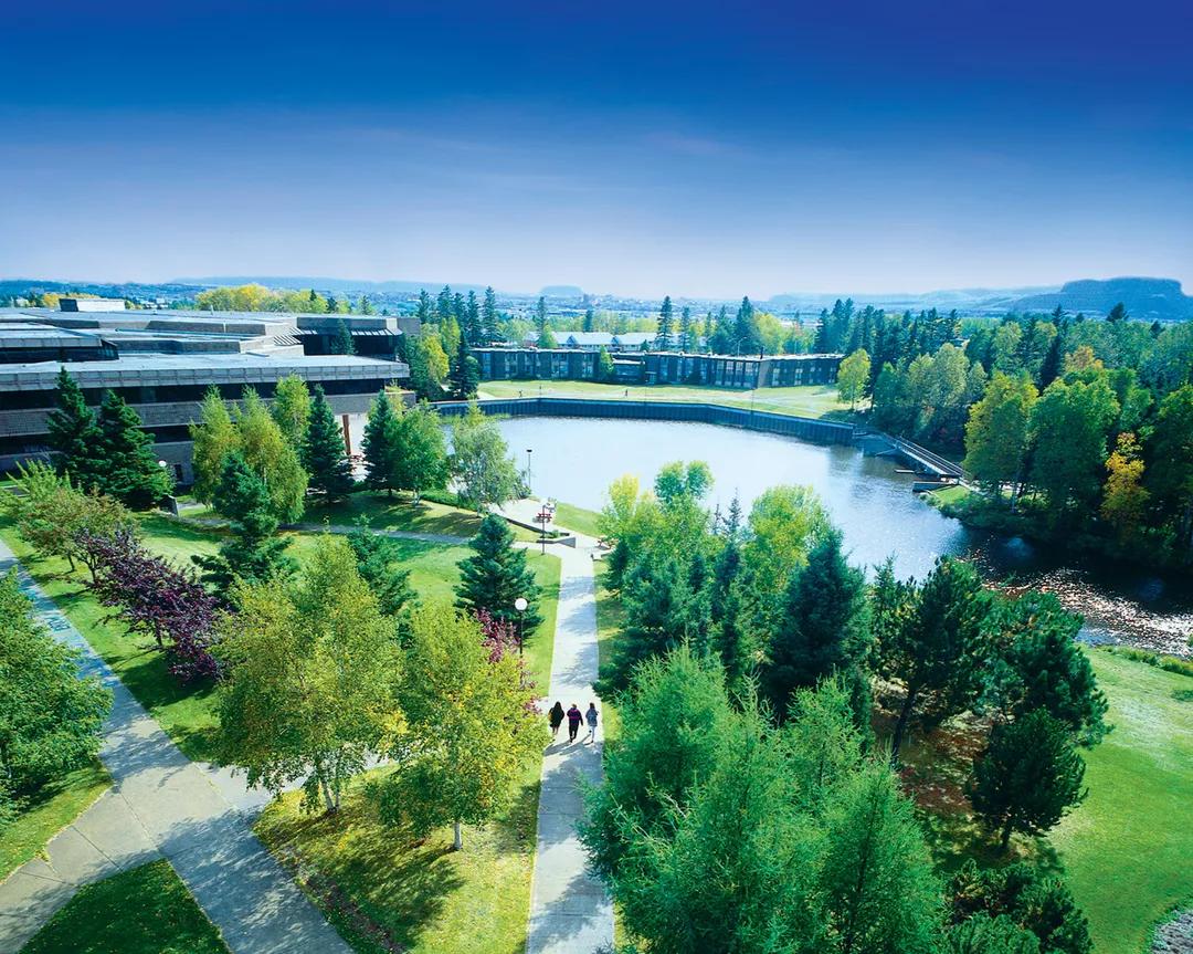 Image for Lakehead University