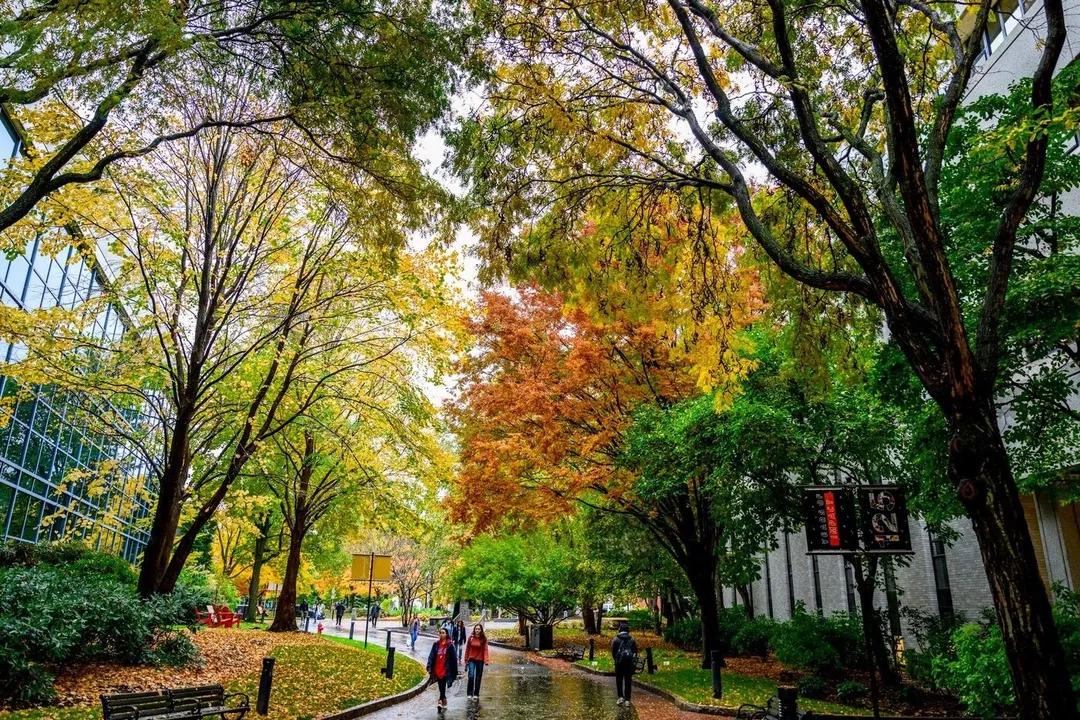 Image for Northeastern University - Boston