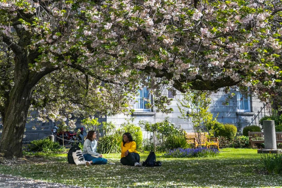 Image for Trinity College Dublin
