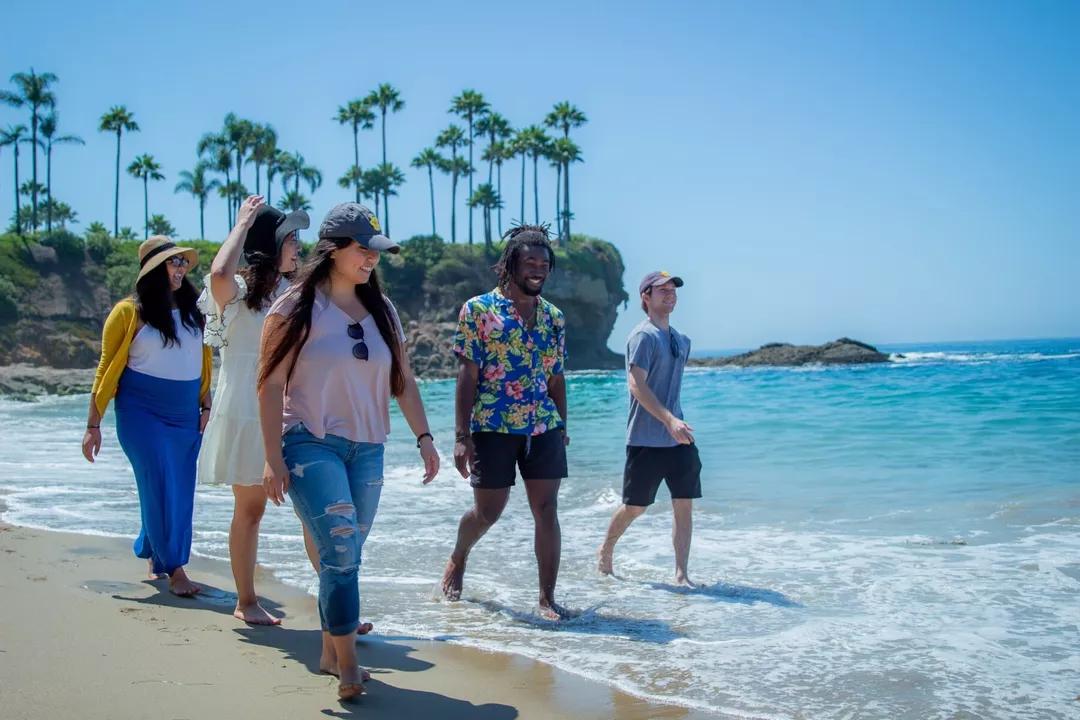 Image for University of California, Irvine