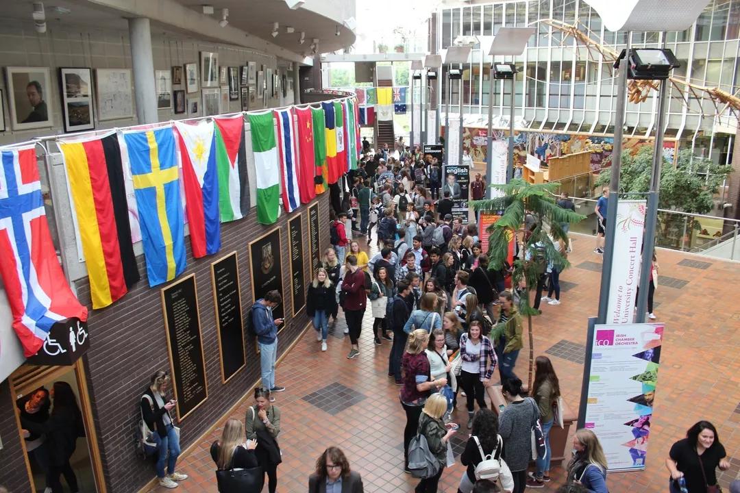 Image for University of Limerick