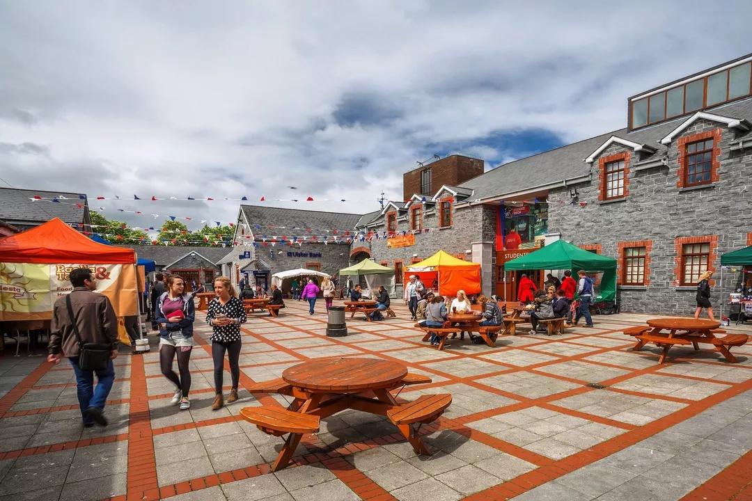 Image for University of Limerick