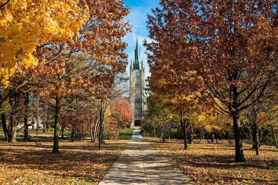 Image for Western University