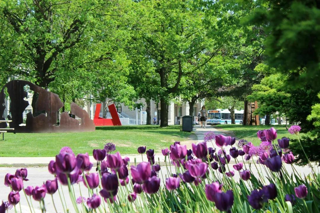 Image for Western University